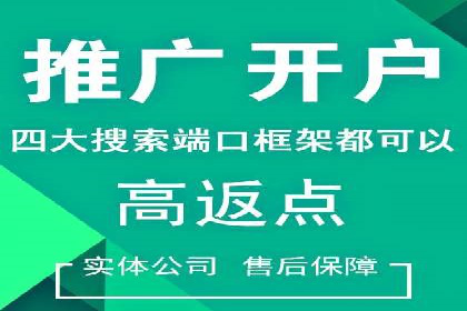 行业领先企业的百度竞价代运营经验分享